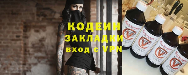 твердый Бородино