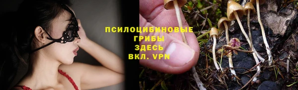 a pvp Бугульма