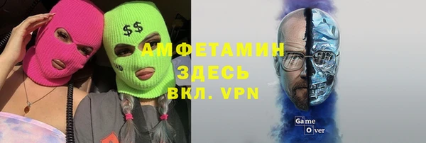 твердый Бородино