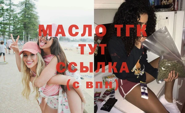 твердый Бородино