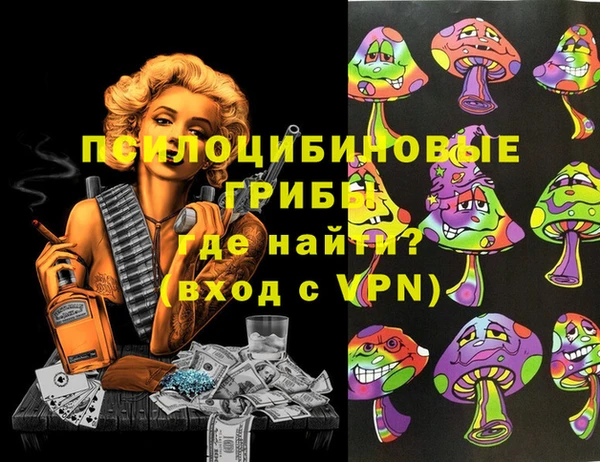 твердый Бородино