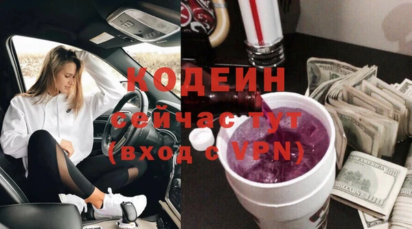твердый Бородино