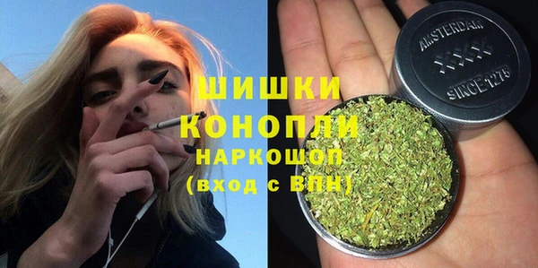 твердый Бородино