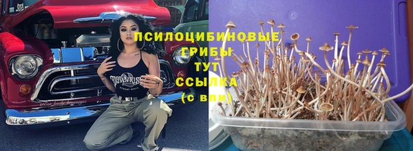 jwh Бронницы