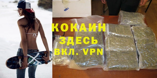 твердый Бородино