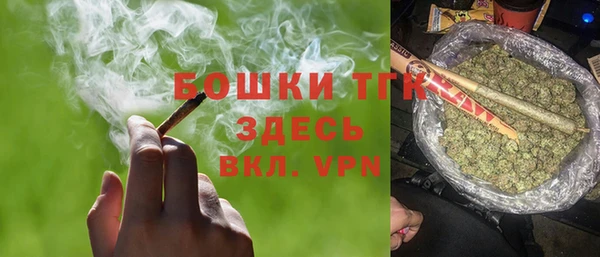 твердый Бородино
