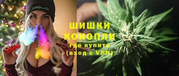 твердый Бородино