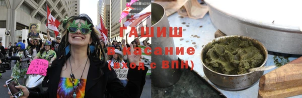 твердый Бородино