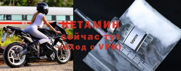 твердый Бородино