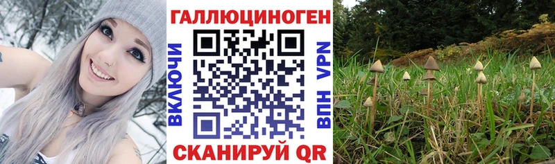 сайты даркнета клад  Старый Оскол  Галлюциногенные грибы прущие грибы 